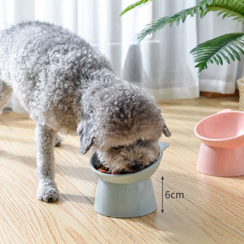 45°Neck Protector Cat Bowl High Foot Cat Bowl Cat Food Water Bowl PP Material Anti-overturning Binaural Cat Feeding Feeder Bowl - AlabongCat