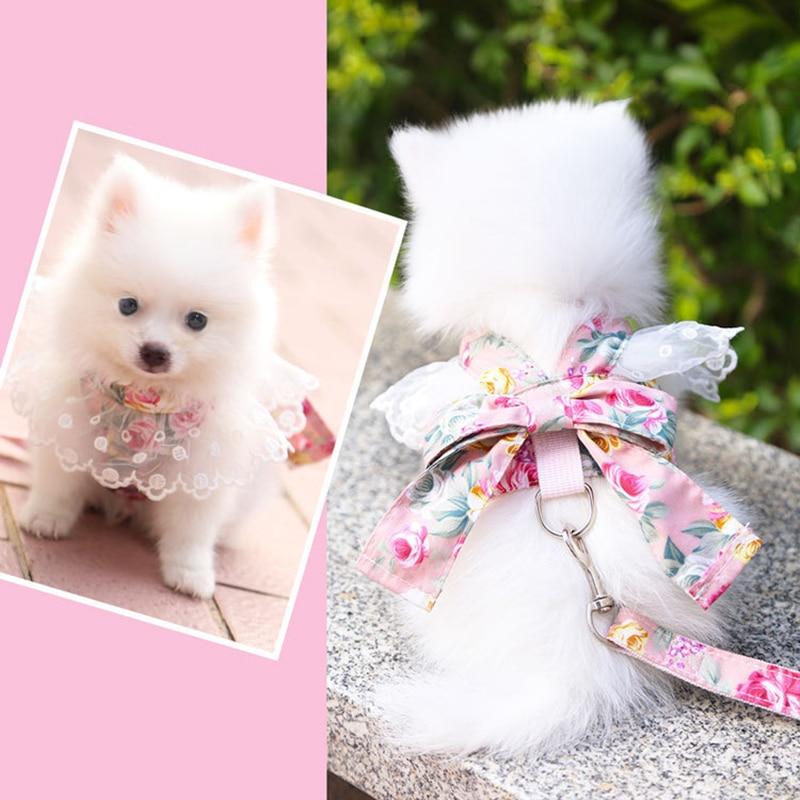 Cat Leash Harness Suit Cute Cat Vest Clothes Dress Kitten Cat Lace Collar Teddy Cat Accessories - AlabongCat