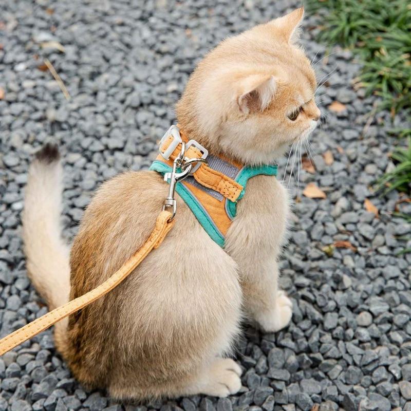 Adjustable Cat Harness Vest With Walking Lead Leash Kitten Collar Cotton Soft Harness For Small Medium Cats - AlabongCat