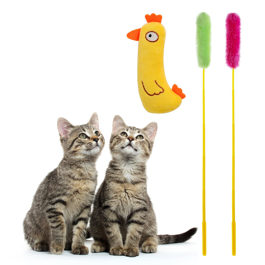 AlabongCat Catnip Toys Set 3Piece Set with Chicken Kitty Toy and Cat Teasers Funny and Entertaining Catnip Toy Stimulating and Interactive Indoor Cat Toys - AlabongCat