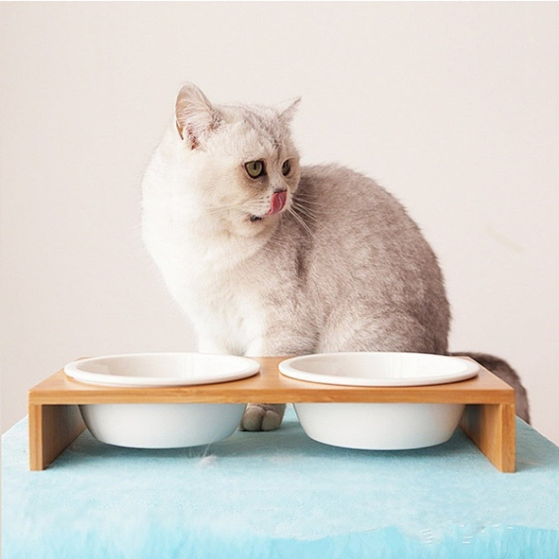 Cat Feeders Bowl Cat Food Water Bowl 1/2/3 Bowls Ceramic Tableware Bamboo Frame Antiskid Cat Supplies Cat Feeding Bowl - AlabongCat