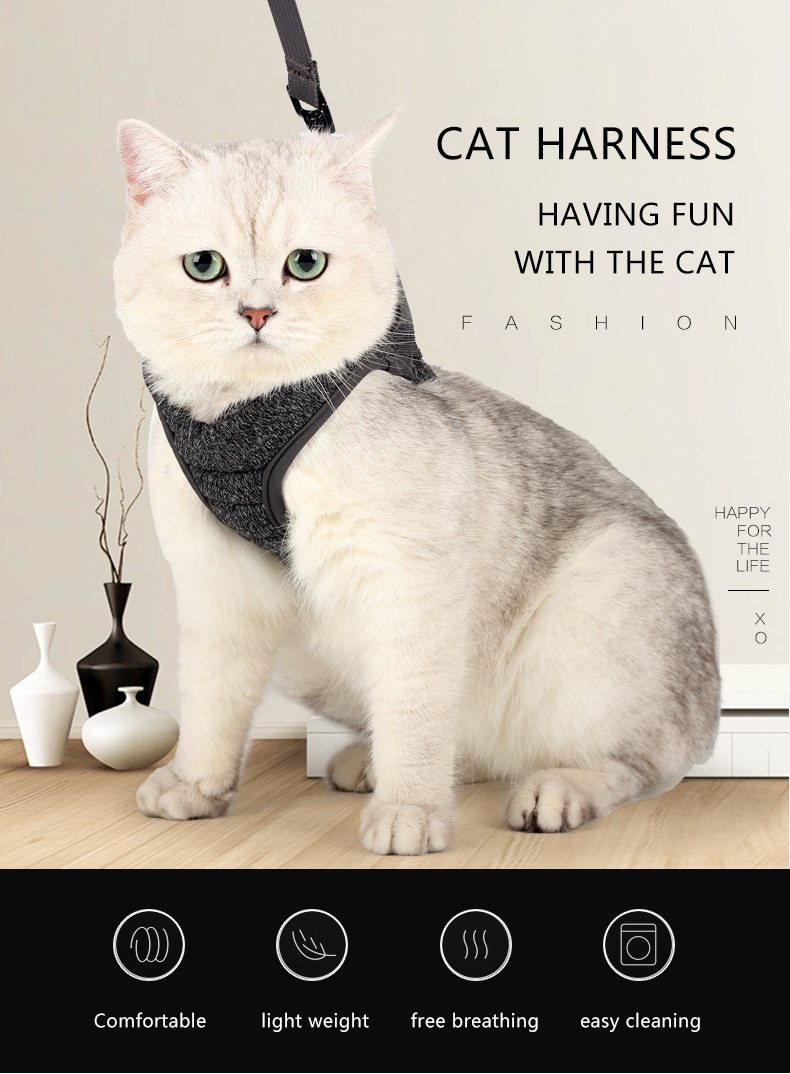 Cat Harness Adjustable Cat Leash Set Cat Belt Kitten Breathable Soft Vest Cat Outdoor Walking Chest Strap Cat Supplies - AlabongCat