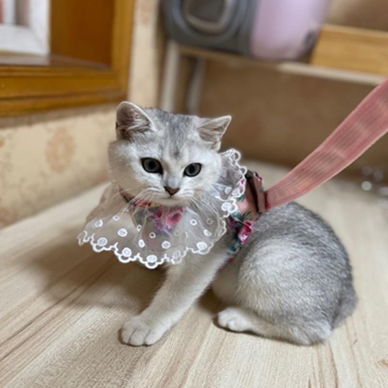 Cat Leash Harness Suit Cute Cat Vest Clothes Dress Kitten Cat Lace Collar Teddy Cat Accessories - AlabongCat