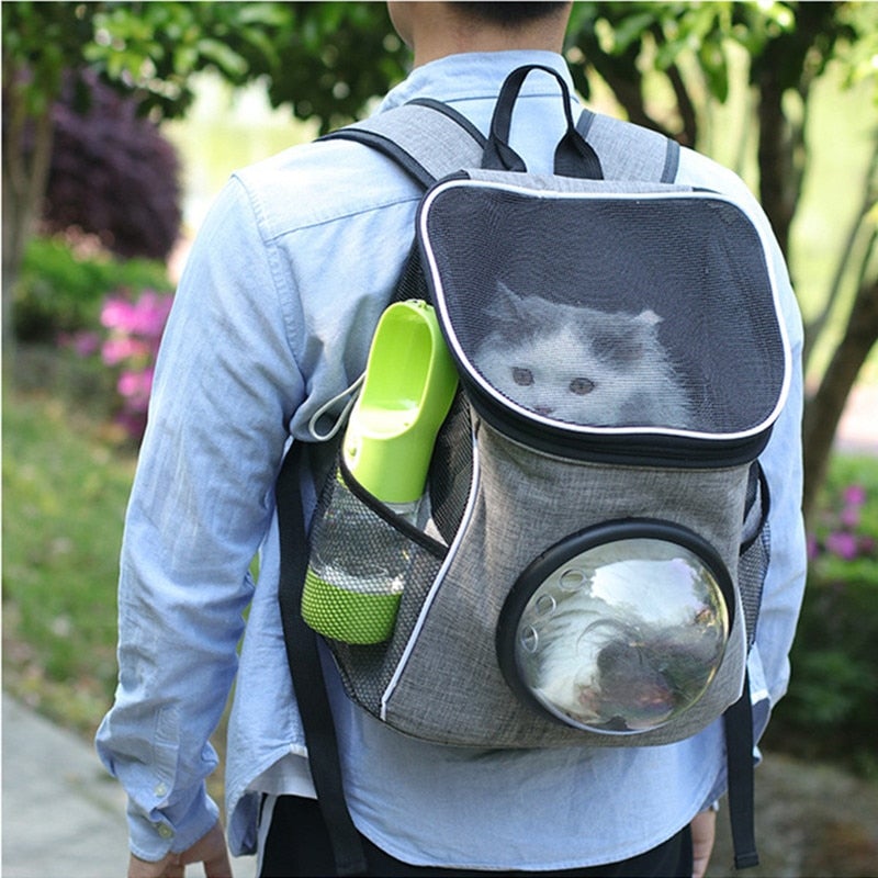 Cat Portable Water Bottle Feeder Bowl Outdoor Travel Drinking Cat Bowls Water Bowl For Cats Supplies - AlabongCat