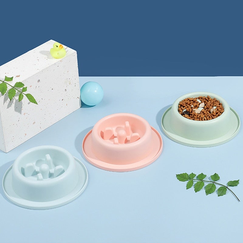 Cat Slow Eating Feeder Cat Bowl Cat Food Bowl Hard Plastic Cat Slow Feeder NonSlip Anti Gulping Feeder Bowl - AlabongCat