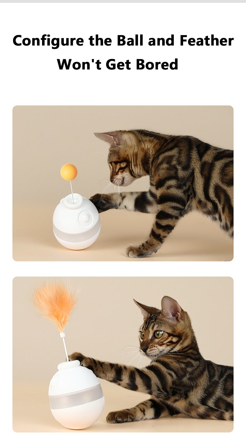Cat Toy Feather Spring Stick Increases IQ Treat Ball Feed Bowl Tumbler Food Dispenser for Kitten Indoor Cat Supplies - AlabongCat