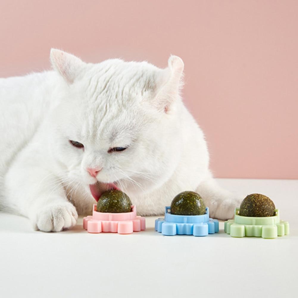 Cat Toys Cat Treat Toys Snack Self-Adhesive 360° Rotated Catnip Ball Cats Wall Mount Molar Teething Toy For Cats Ball - AlabongCat