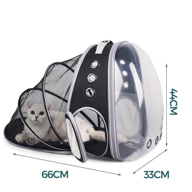 Cat Transparent Backpack for Small Cats Visible Capsule Cat Breathable Carrying Cage Traveler Kitten Pet Carrier Bag - AlabongCat