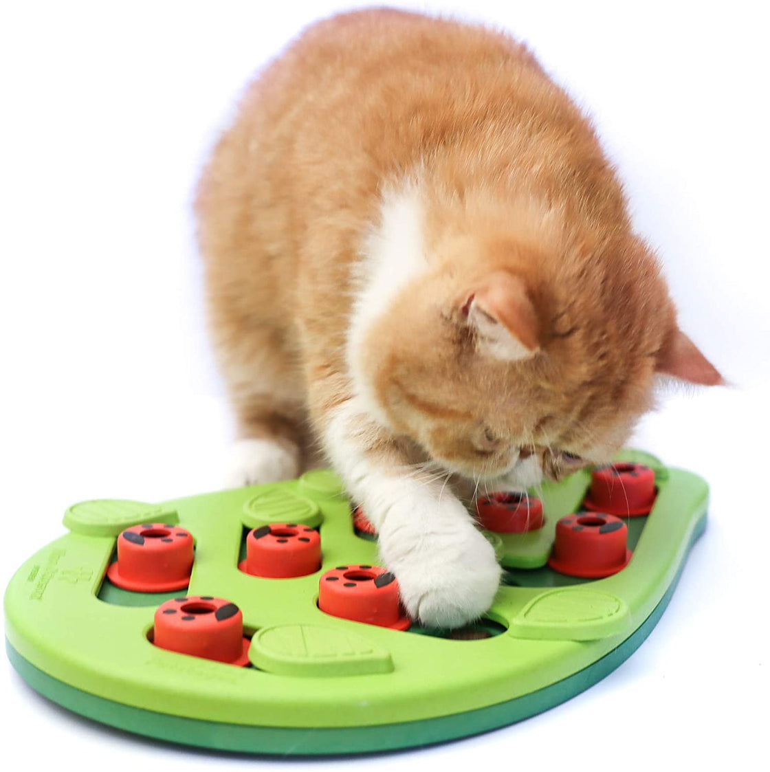 Cat Treats Interactive Cat Puzzles Slow Feeders Creativity Treat Dispensing Toys Relieve Cats' Boredom and Scratch-Resistant Cat Supplies - AlabongCat