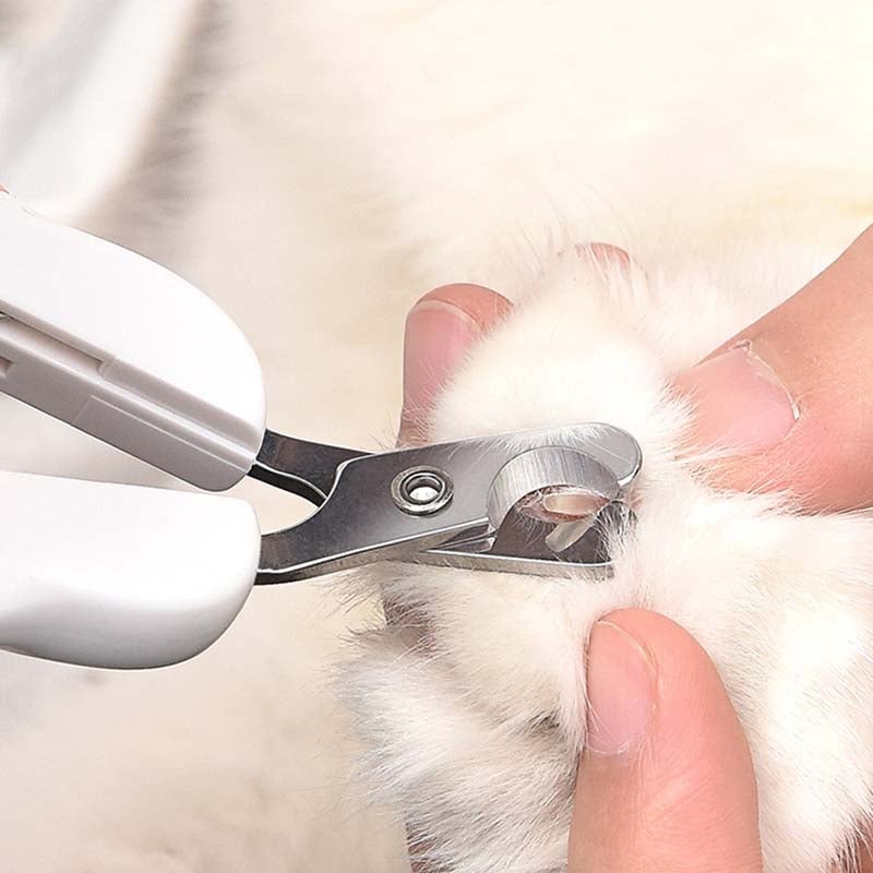 Professional Cat Nail Clippers Stainless Steel Cat Cutter Claw Clipper For Animals Alicate Cat Grooming Ergonomic handle Scissors - AlabongCat